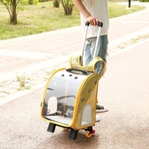 Cat Bag Out of Rod Box Pet Travel Large Capacity Backpack Full Transparent Space Cabin Kitty Backpack Summer Breathable