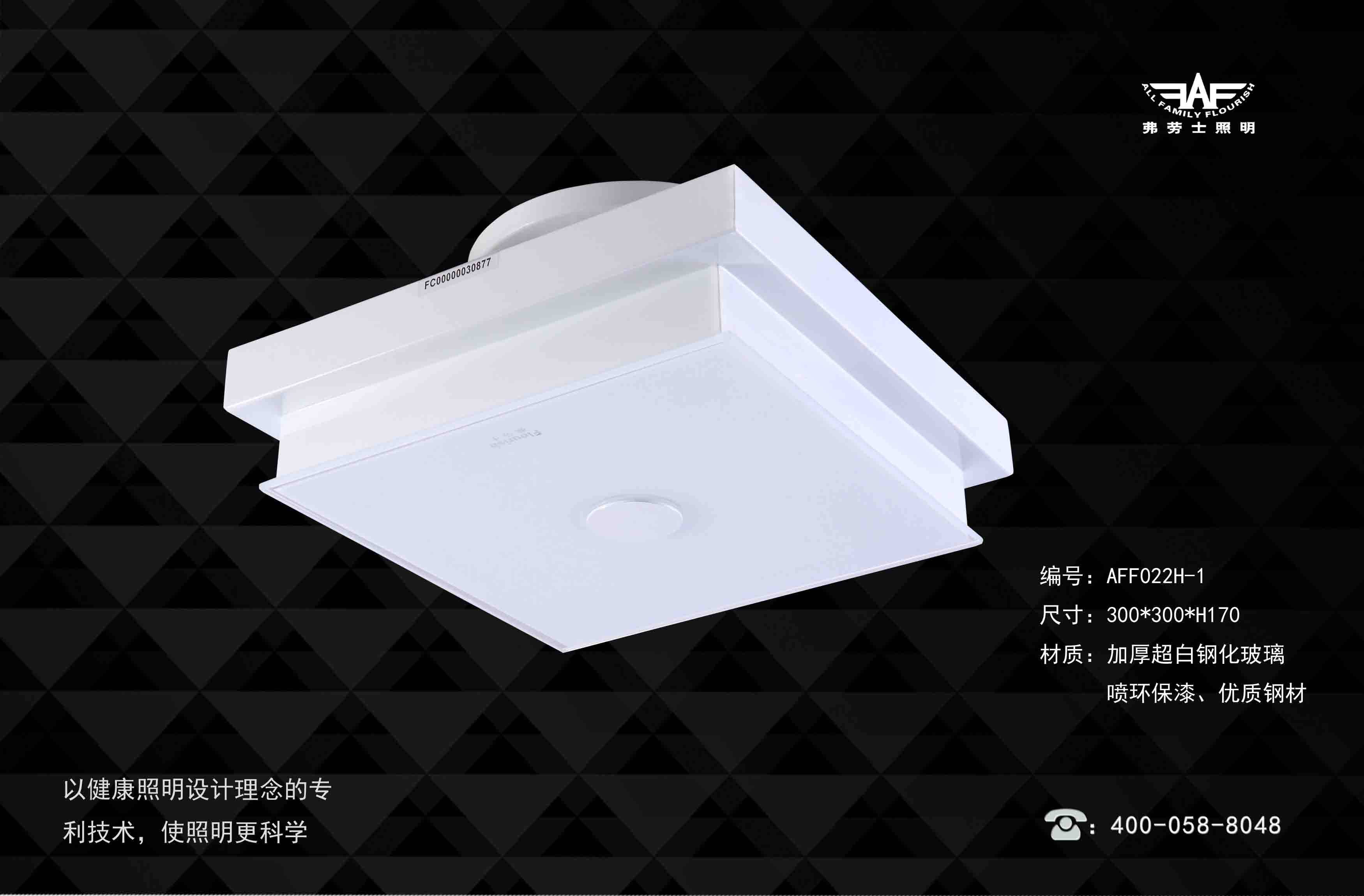 Fraus AFF022H-1 aisle study ceiling lamp