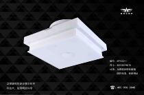 Frau AFF022H-1 aisle book room suction dome light