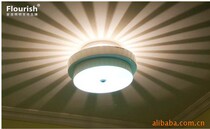 Frauz Lighting Intelligent Modern Minimalist Wind Living Room Dining Room Dining Room lamp bookhouse light AFF022G