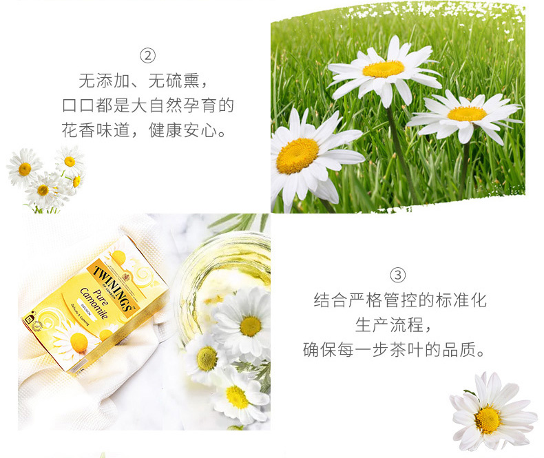 TWININGS川宁香宁洋甘菊花草茶