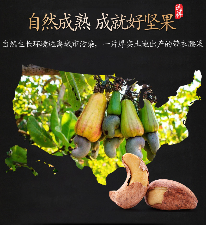 老街口 W180大果 带皮盐焗腰果仁 500g 图3