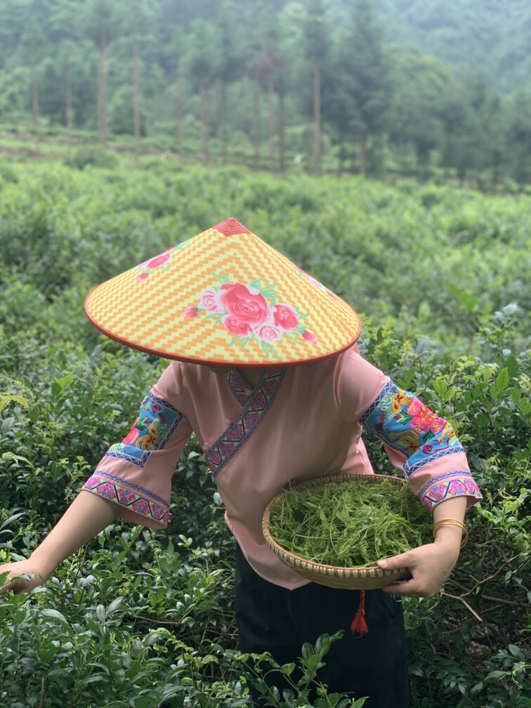 张家界长寿村莓茶直销店