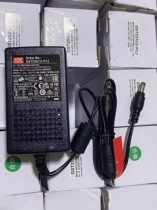 MEAN WELL Power Adapter GST25A12-P1J 25W 12V2 08A