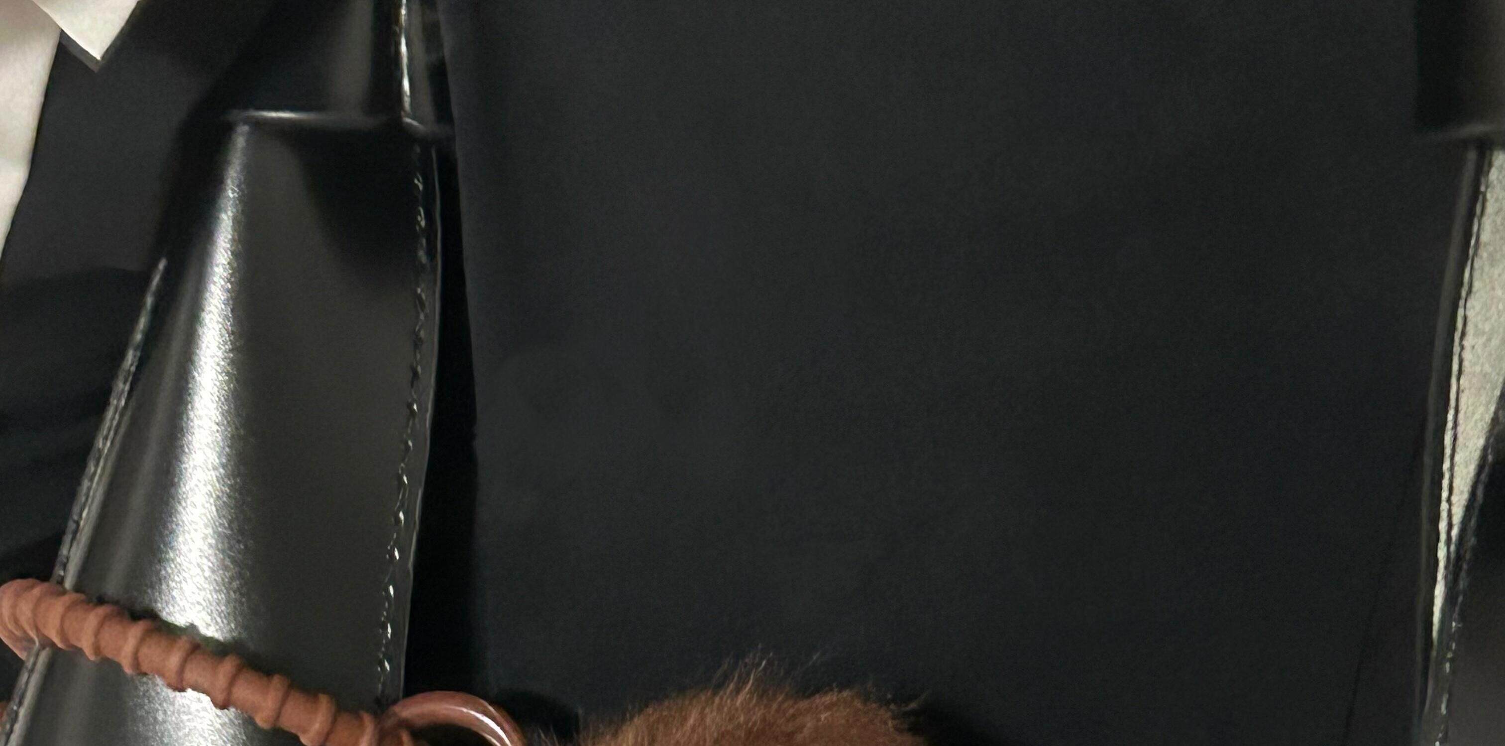 LUDO Bald Fruits Hairy Coconut Plush Keychain detail image