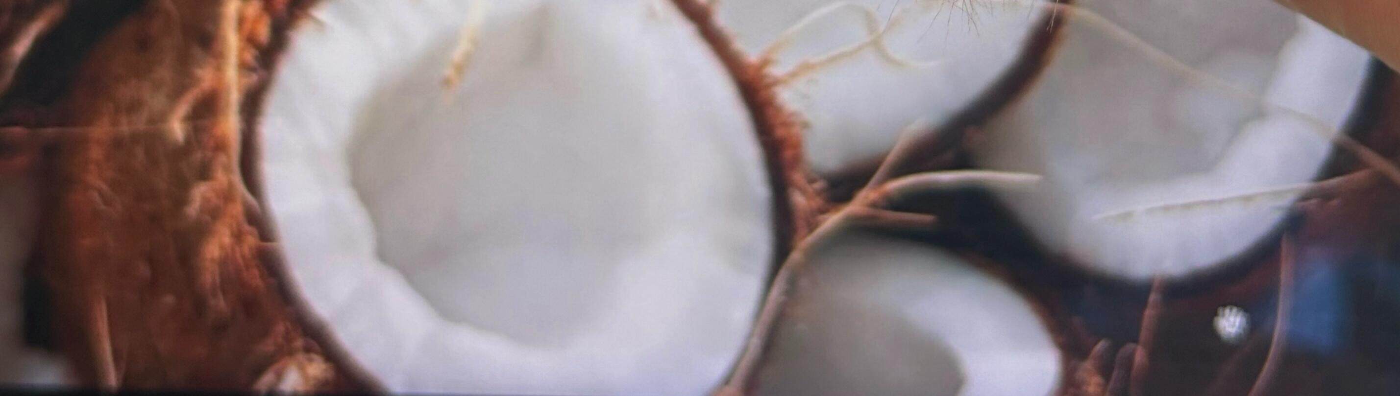 LUDO Bald Fruits Hairy Coconut Plush Keychain detail image