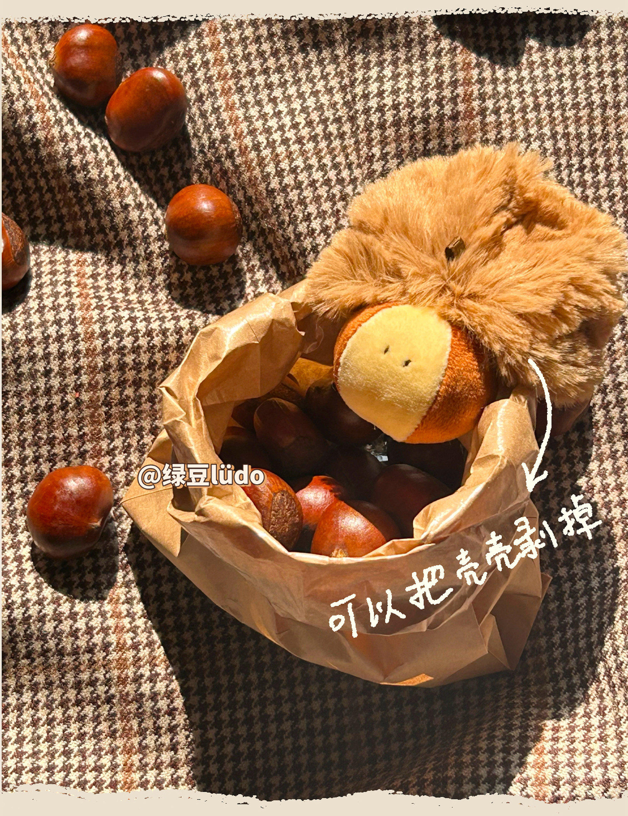 LUDO Bald Fruits Chestnut Plush Keychain detail image