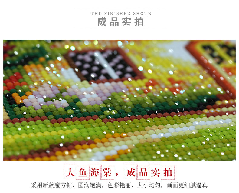 2019 Các kim cương 5D mới sơn phòng khách đầy kim cương cá khung Begonia Hiện điểm gạch khâu hơi pha lê 2018 - Công cụ & phụ kiện Cross-stitch dụng cụ thêu tay