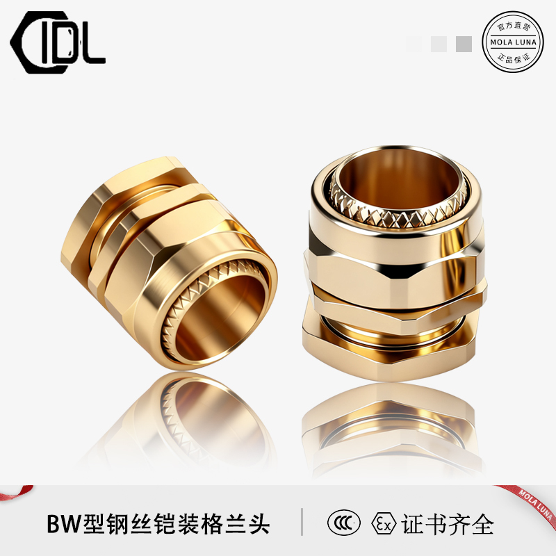 Bw Steel Wire Armored Brass Gland Cable Clamp Armor Layer Cap Fixed Wire Connector Device