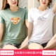 DT500 Bean Green+DT545 White
