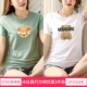 DT500 Bean Green+DT552 White