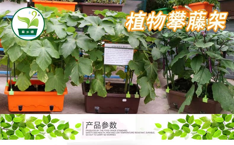 种菜铁线莲西瓜瓜果藤蔓攀爬植物支柱菜园包塑钢管爬藤架 生活服务 家多绿 种菜铁线莲西瓜瓜果藤蔓攀爬植物支柱菜园包塑钢管爬藤架 生活服务 家多绿