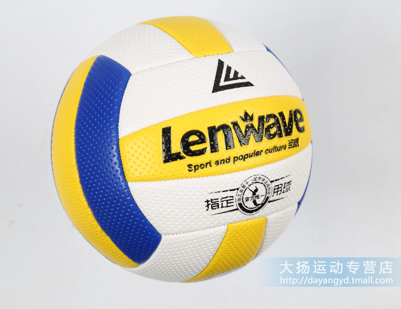 Ballon de volley - Ref 2009387 Image 16