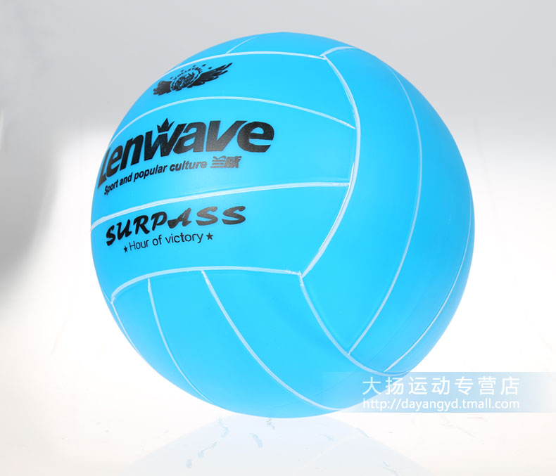 Ballon de volley - Ref 2007995 Image 18