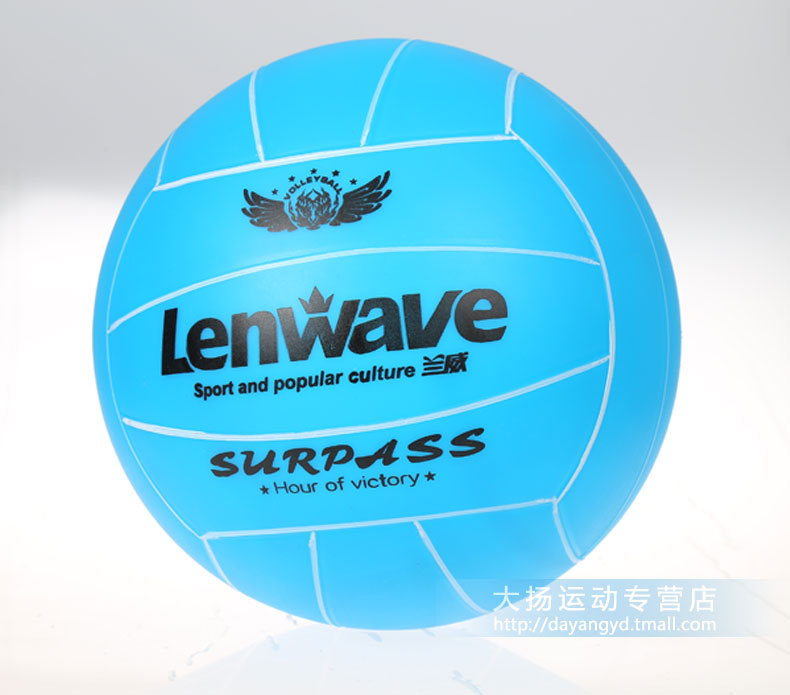 Ballon de volley - Ref 2007995 Image 19
