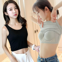 Bra with chest pad One-piece cup suspender small vest Womens underwear Solid color base shirt exposed umbilical outer wear inner summer