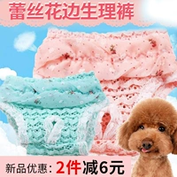 Физиологичные штаны, физиологичное нижнее белье, кукла, домашний питомец