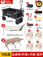 Черный самолет [Столка с помощью поставки+занавеска для неба бабочки 3.4*4,4m+4 Clotch Clip Cleap+2 ремня пачки+6 метров шампуры]