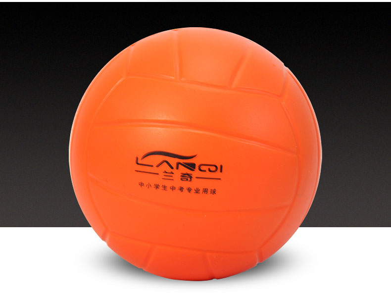 Ballon de volley-ball - Ref 2007918 Image 15