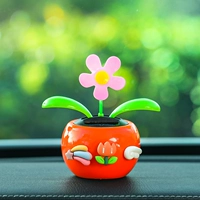 Подсолнечник грейпфронт красный+DIY наклейка