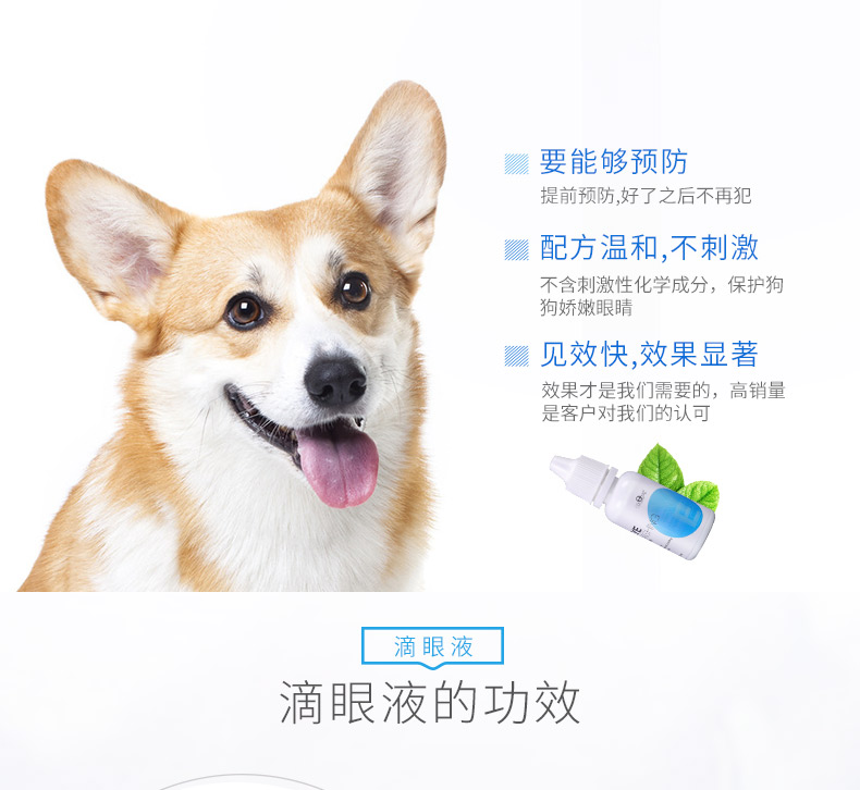 Chó đi nước mắt nhân tạo mắt mèo thuốc nhỏ mắt thú cưng chống viêm thuốc nhỏ mắt thuốc nhỏ mắt nước mắt biến mất - Thuốc nhỏ mắt thuốc tobrex