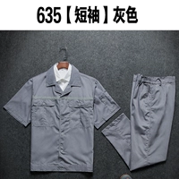 Серый 【635 летние коротки