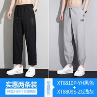 XT8810P-YH черный+XT8809S-ZG светло-серый