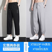 XT8810P-YH черный+XT8809S светло-серый