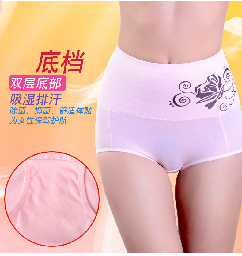 Slip Moyen-âge LUNILAI en coton - Ref 643576 Image 18