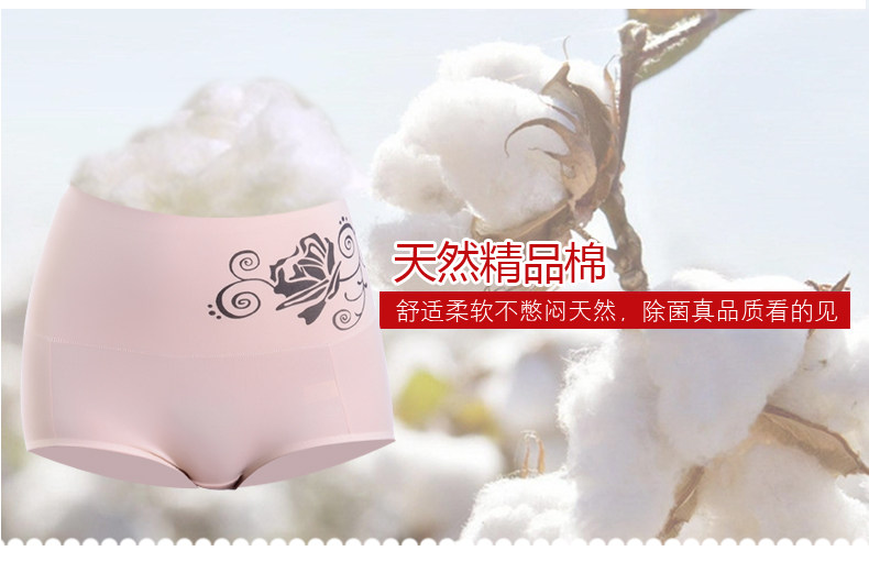 Slip Moyen-âge LUNILAI en coton - Ref 643576 Image 11