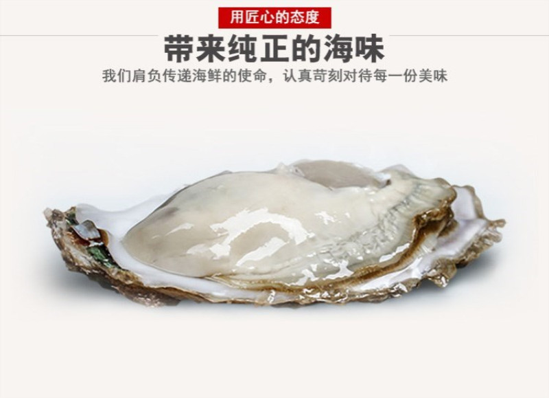 野生鲜活生蚝牡蛎 5斤 图1