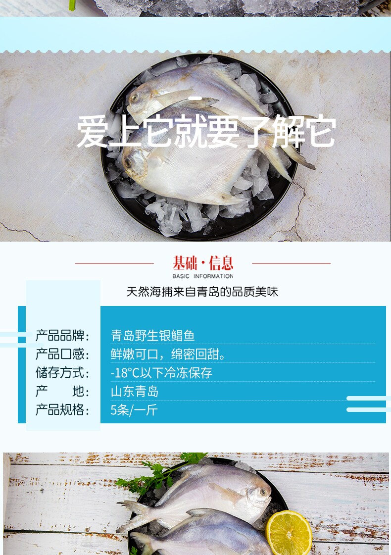 青岛野生海捕银鲳鱼 4斤 图3