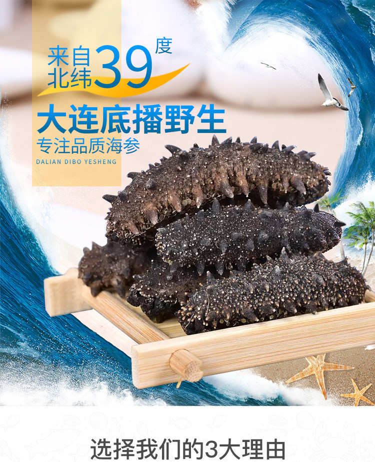 水师 大连底播野生海参 50g 图1