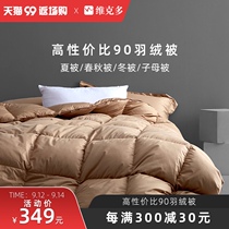 Victor duvet 90 duck down quilt quilt spring and autumn quilt summer quilt single quilt core winter quilt mother quilt