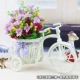 Blue Purple Car 2 Red Lotus Jumping Orchid