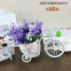 Порошковая автомобиль 3 цветная смесь и фиолетовая лаванда