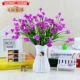 3 кровати красного лотоса Phalaenopsis коробка