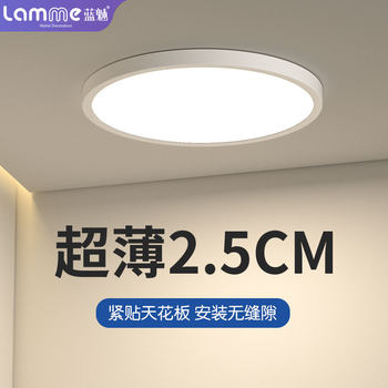 Blue Charm Ultra-Thin Led Ceiling Light, Eye-Protecting, Simple and Modern, Suitable for Kitchen, Balcony, Bedroom, Entryway, Corridor, and Hallway Lighting