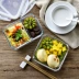 Hộp cơm trưa thủy tinh cho nam và nữ lò vi sóng có thể được hâm nóng nhân viên văn phòng tách bát thủy tinh giòn - Hộp cơm điện sưởi ấm hộp cơm thermos Hộp cơm điện sưởi ấm