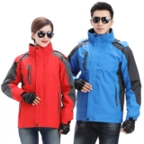 Притворяться, что это хлопковое пальто, хлопчатобумажную локальную логотиз