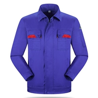 Scuesure Blue Syster Room