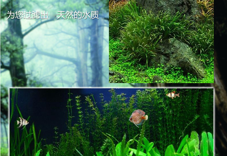 Неизвестно -1_10.jpg