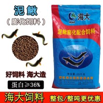 Loach feed high protein puffed floating small particle type open fish food breeding special gold loach feed
