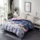 Chăn bông đơn mảnh 150x180x200x230 phim hoạt hình sinh viên cotton twill đơn chăn đôi 220x240 - Quilt Covers