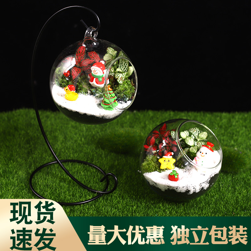 Christmas decoration moss micro landscape DIY material package plant small potted desktop glass bottle cute decoration set
