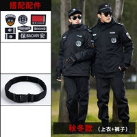 Штаны, аксессуары, ремень