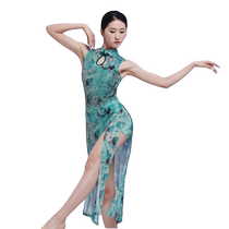 Hibu Qipao Qipao Dance Suit National Body Rhyme Printed Flower Mesh Yarn Qipao Chinese Dance Suit Classical Dance Martial Art Costume