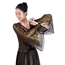 Fubo classical dance clothing gauze Chinese dance practice clothing womens sequined butterfly chiffon top performance clothing