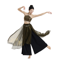 Fubo classical dance clothing practice clothes tops Dunhuang Feitian stage Western style small suspender performance clothes for women