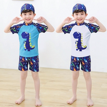 Childrens swimsuit boys swimming trunks split set baby children cartoon dinosaur swimsuit